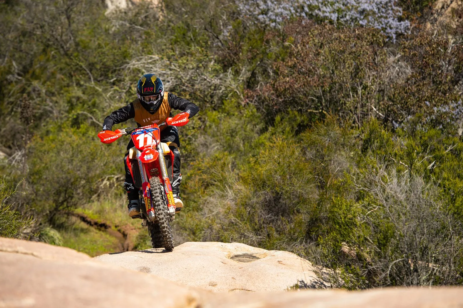 Why Front Forks Matter: The Foundation of Your Ride